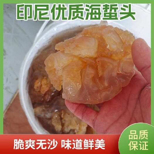 滨州海蜇海蜇头印尼海蜇头，各种规格海蜇头，既食海蜇