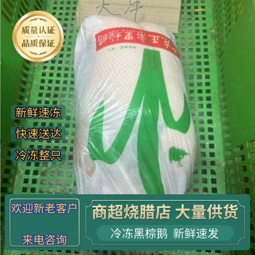 广东黑棕鹅清远烧鹅冷冻整只乌鬃鹅鹅肉深井酒店烧腊批发有货