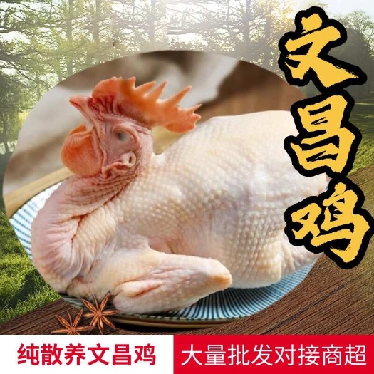 佛山现杀文昌鸡海南椰子鸡汤火锅全套餐新鲜椰子鸡配料散养走地鸡