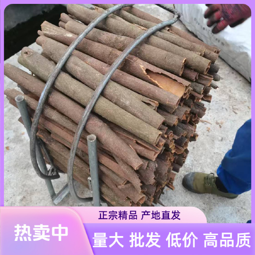 德庆县桂皮支持批发电商肇庆德庆凤村桂皮自家产量大真源头