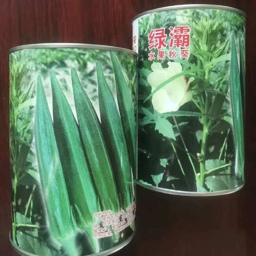 建瓯市原装绿灞水果秋葵种子 果实浓绿 色泽亮丽 弯曲果少