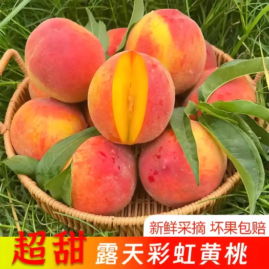 襄樊彩虹黄桃新鲜应季露天水果桃子水密黄金蜜软脆毛蟠桃5斤现摘现发