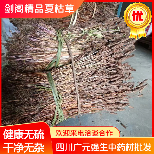 剑阁县四川广元精品夏枯草 源头甄选 严格把控品质