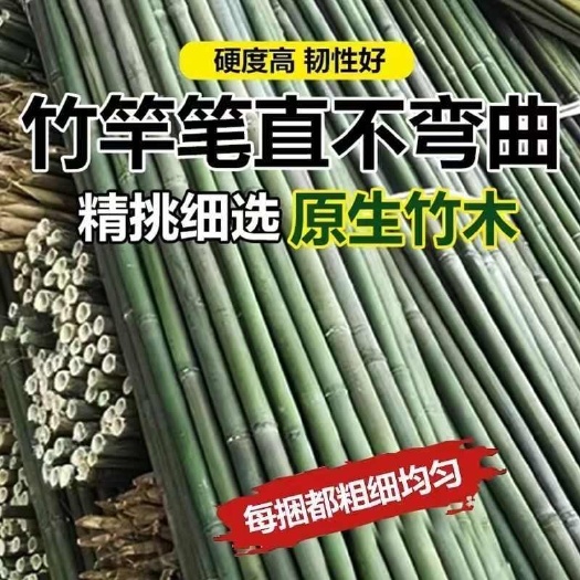 竹竿菜园搭架葡萄架蔬菜爬藤豆角架黄瓜长竹杆篱笆栅栏番茄细竹子