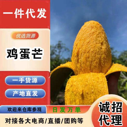 海南鸡蛋芒一件代发产地直发一手货源对接各大电商平台