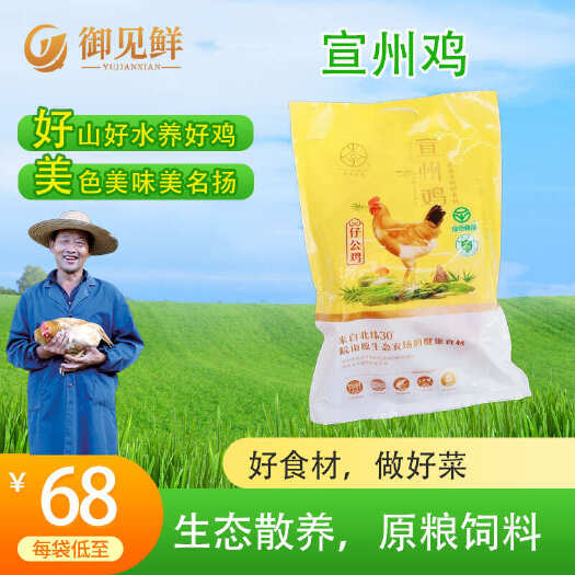 竹林散养宣州鸡