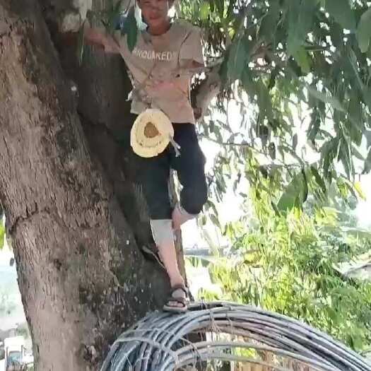 永德县云南野生蜂蜜