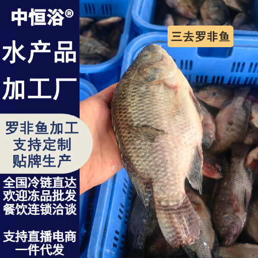 东山县三去罗非鱼 新鲜速冻罗非鱼7斤装 餐饮酒店烧烤商用水产冻品批