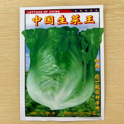 阳春市四季播种生菜种子生菜玻璃生菜阳台庭院盆栽种植秋冬蔬菜种