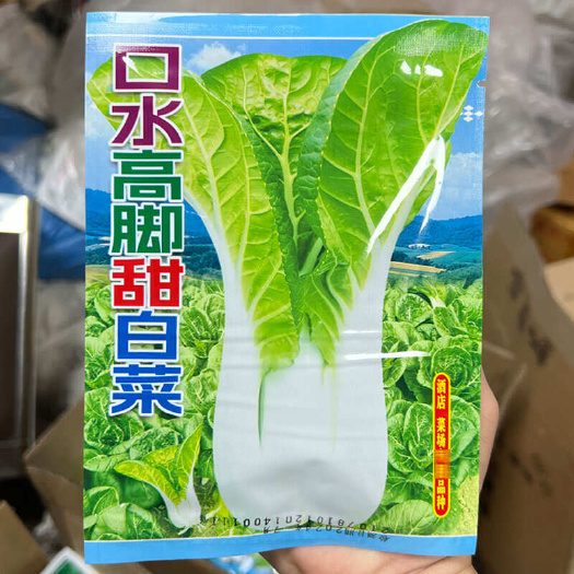 阳春市高脚甜白菜种子四季种植黄叶长梗高杆白菜种籽晒菜干蔬菜青菜种籽
