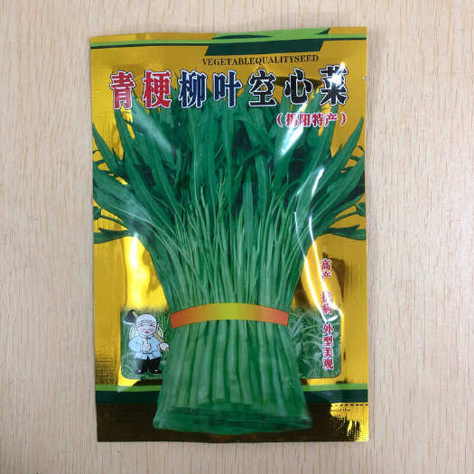 阳春市青梗柳叶空心菜种籽通心菜耐风雨肉厚脆嫩生长快速农家大田蔬菜种