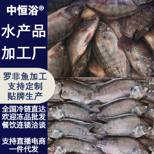 新鲜三去罗非鱼 商用7斤装 炭烤糖醋红烧罗非鱼冻品材料批发