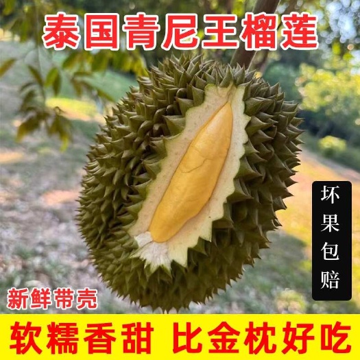 昆明泰国青尼榴莲新鲜带壳树上熟一整个当季青泥清尼青尼王