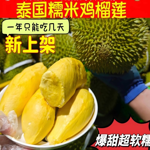 昆明泰国榴莲品种糯米鸡榴莲 诺卡糍/诺卡吉/诺卡兹榴莲