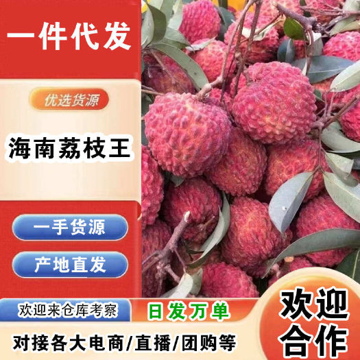 海口海南火山口荔枝王一件代发产地直发一手货源对接各大电商平台