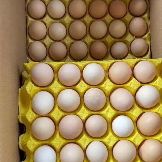 精品粉壳鸡蛋 供应商超 供应链 电商平台