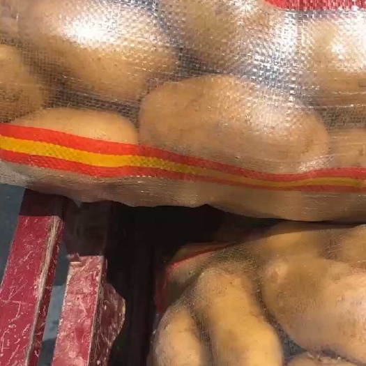 襄樊湖北黄心土豆  大量上市中  大批量供应  需要的老板联系
