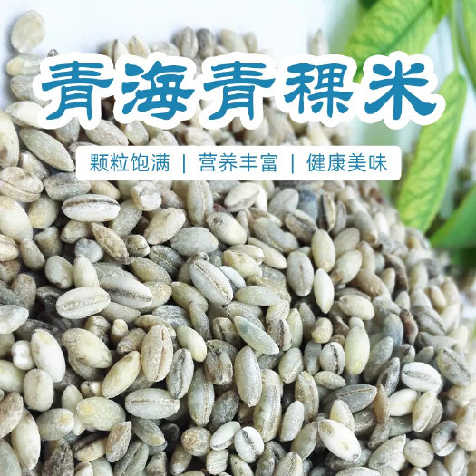 长沙青稞米