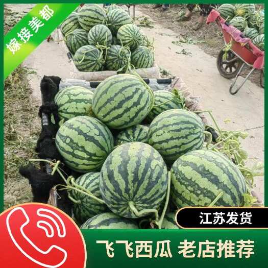 东台市美都西瓜，惠农网8年老店，江苏盐城美都 嘉年华 产地直销