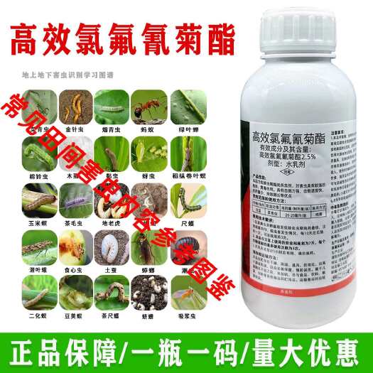 菏泽高效氯氟氰菊酯杀虫剂甘蓝菜青虫专用功夫菊酯正品农药杀虫药批发