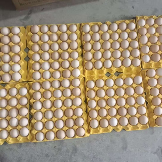 贵阳贵州红心鸡蛋50斤装360枚