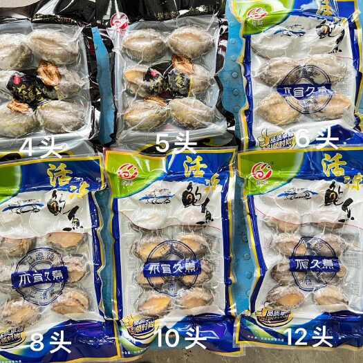 上海10袋/件鲍鱼活冻半壳鲍鱼10只福建鲍鱼佛跳墙捞汁鲍汁捞饭小