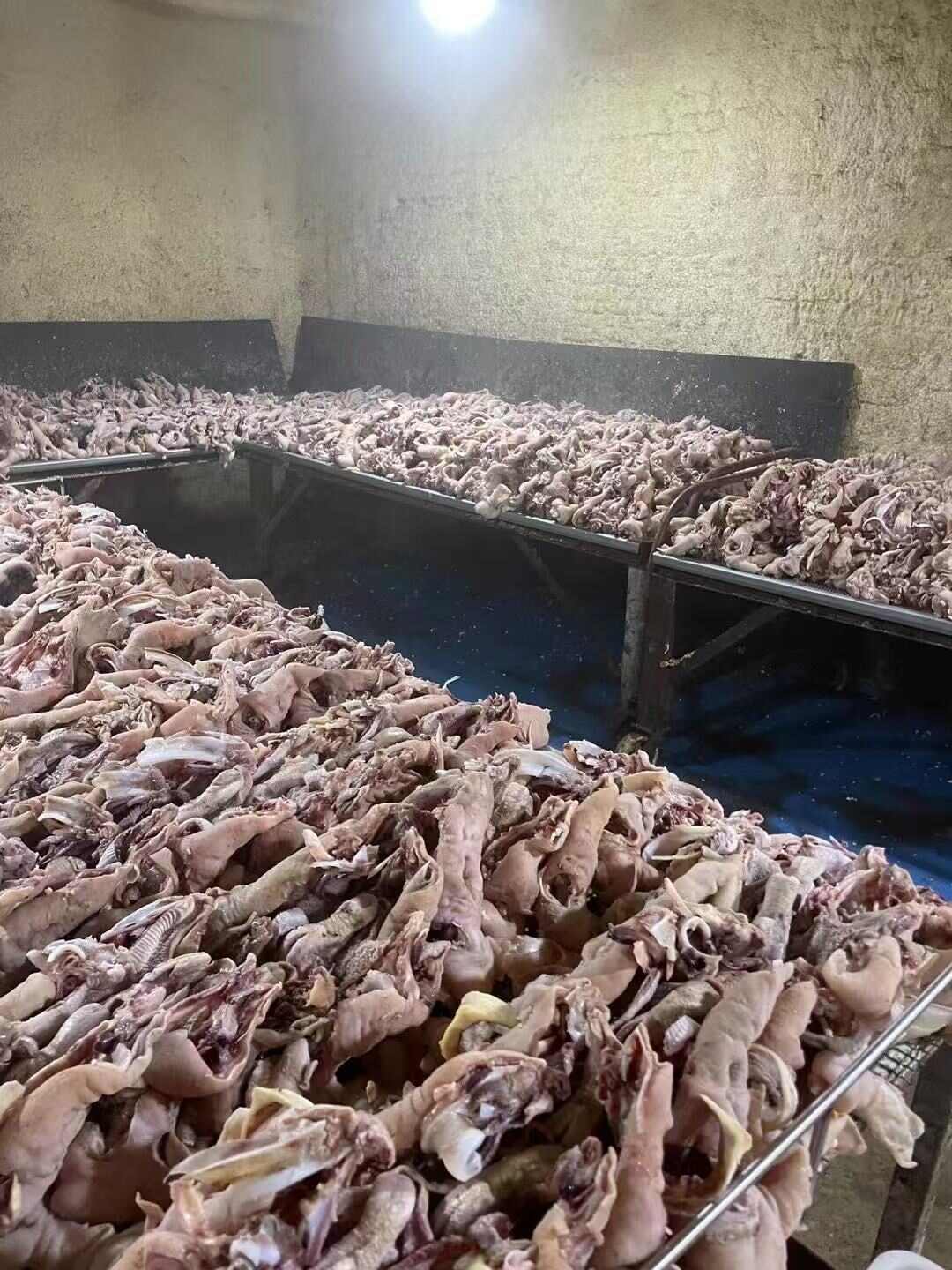 半成品羊头肉 无碱无科技 正规厂家实力供应