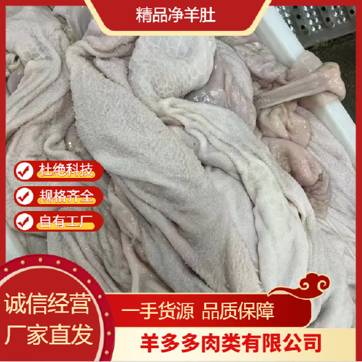大厂县精品羊净肚 厂家直销 量大从优 对接全国