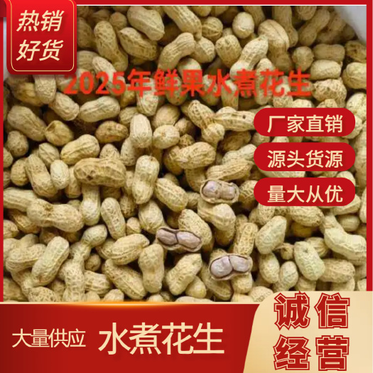 【厂家直销】2025年第一季鲜果水煮花生（软口感） 量大从优