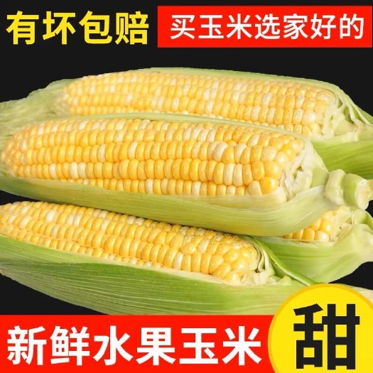 昆明云南新鲜当季水果玉米双色金银水果玉米