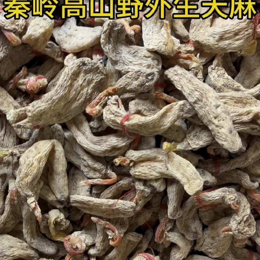 咸阳红苔天麻 秦岭红苔天麻