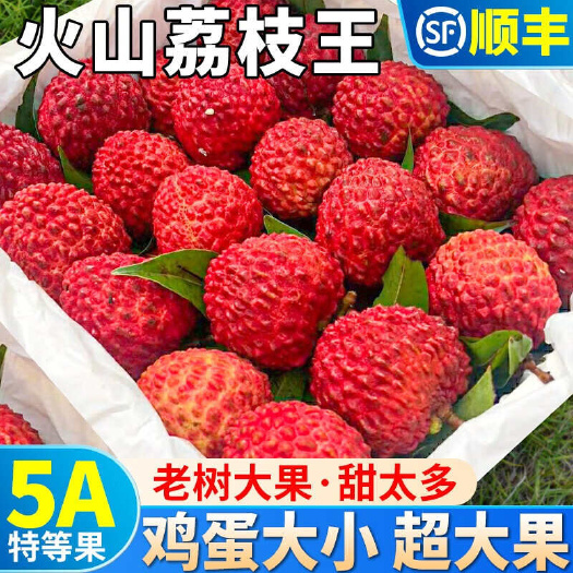 海口海南火山口荔枝王一件代发产地直发一手货源对接各大电商平台