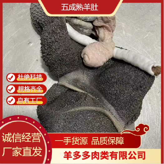 五成熟羊肚 无碱水煮 实力厂家 供应全国 量大从优