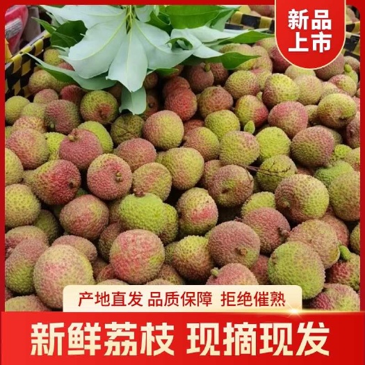 荔枝广西正宗现摘新鲜妃子笑白糖罂白蜡黑叶荔枝产地直发甜多汁