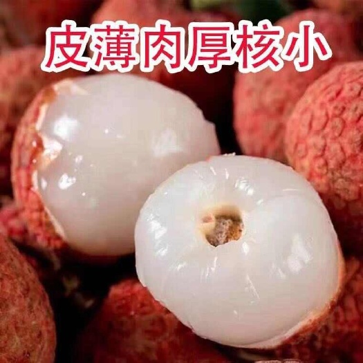 阳西县妃子笑白糖罂荔枝产地直发一手货源量大批发欢迎各位老板咨询