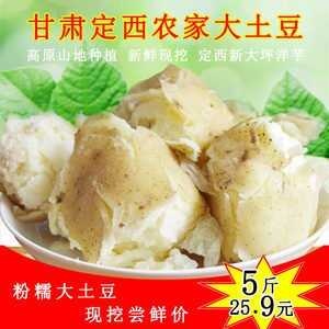 甘肃西红土豆产地直发 支持多种运输方式 稳定供应