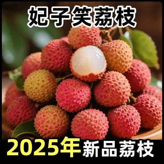 阳西县妃子笑白糖罂荔枝产地直发一手货源量大批发欢迎老板咨询