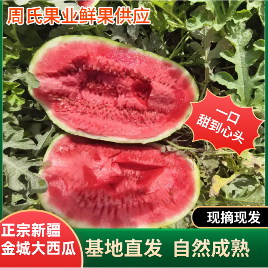 吐鲁番新疆直发金城5号大西瓜甜王红瓤口感甘甜多汁水薄皮
