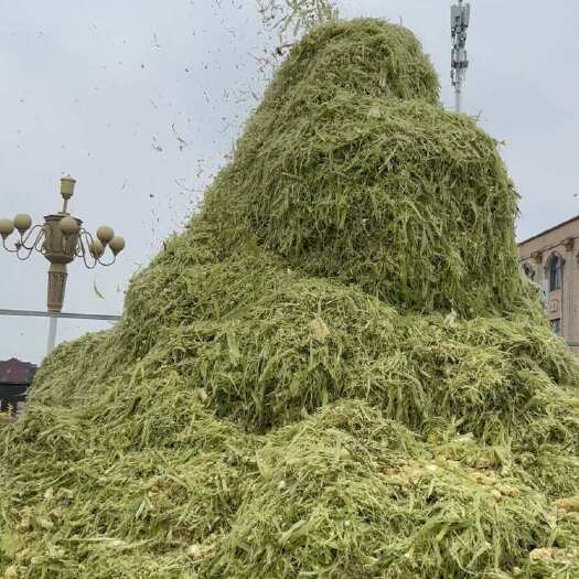 芜湖青储，黄储