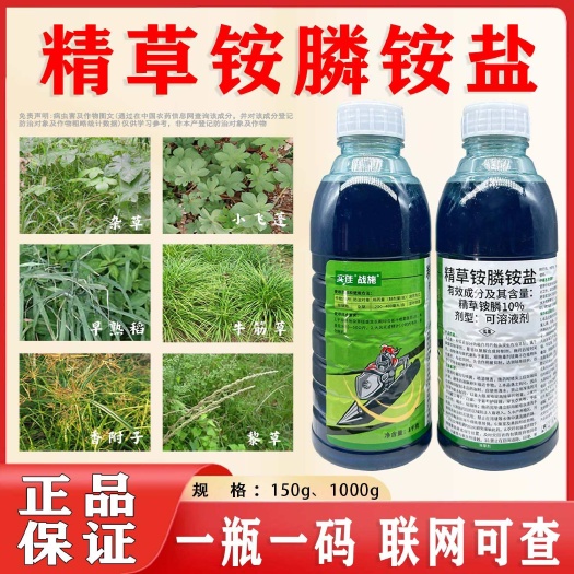 菏泽中迅实佳10%精草铵膦铵盐除草剂非耕地荒地杂草农用除草批发