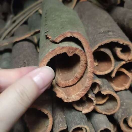 德庆县统货通货肇庆德庆凤村桂皮自家产量大真源头可访看货