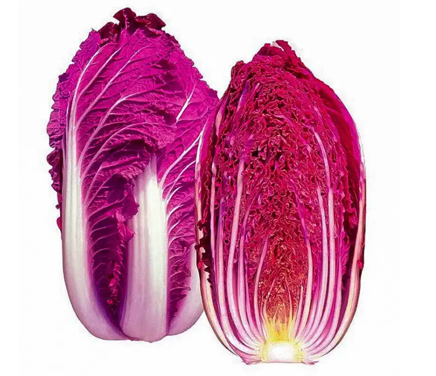 直发新鲜紫白菜优质叶菜类蔬菜