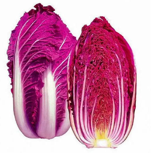 昆明直发新鲜紫白菜优质叶菜类蔬菜
