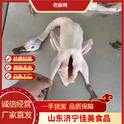 金乡县老麻鸭白条鸭 规格齐全 实力厂家 供应全国