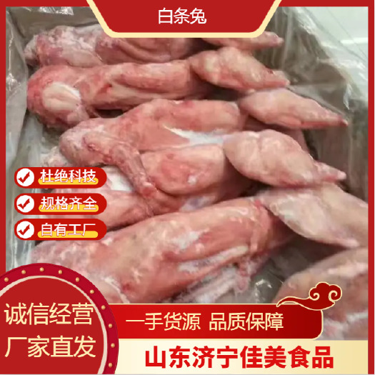 金乡县山东精品白条兔 实力厂家 供应全国