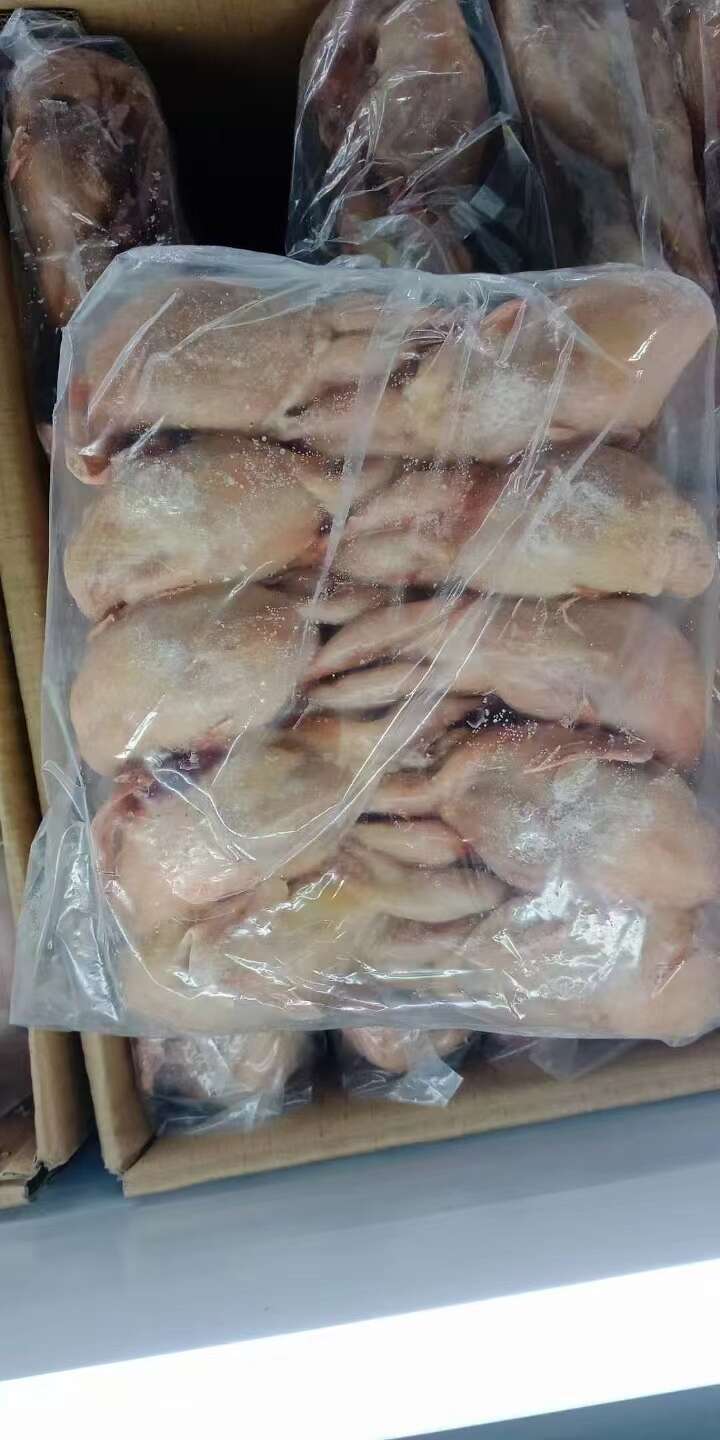 特大鹌鹑 厂家直供 优质源头