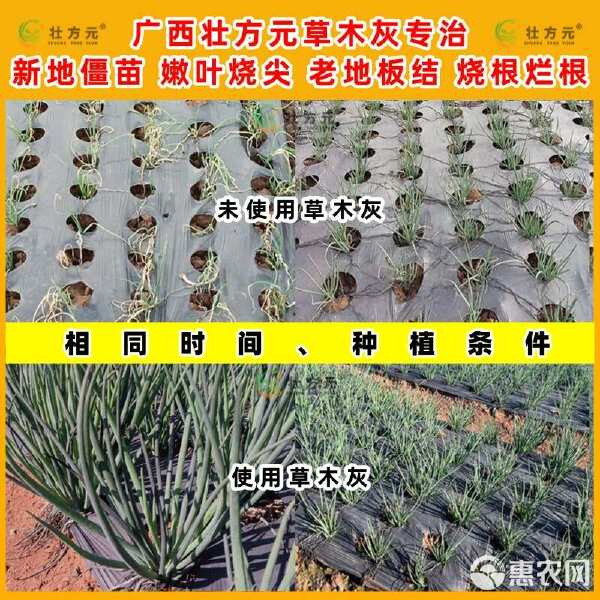 内膜袋草木灰广西草木灰有机钾肥