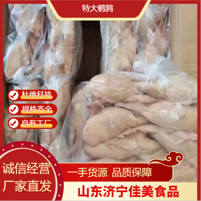 特大鹌鹑 厂家直供 优质源头