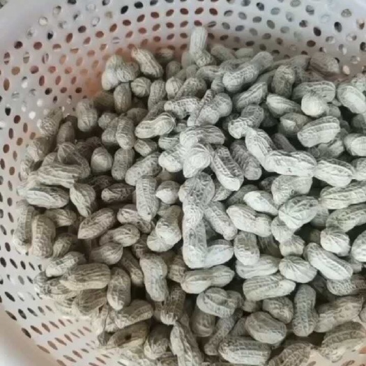 广东鲜发货雷州鲜花生优质粮油米面，专业洗清我最在行
