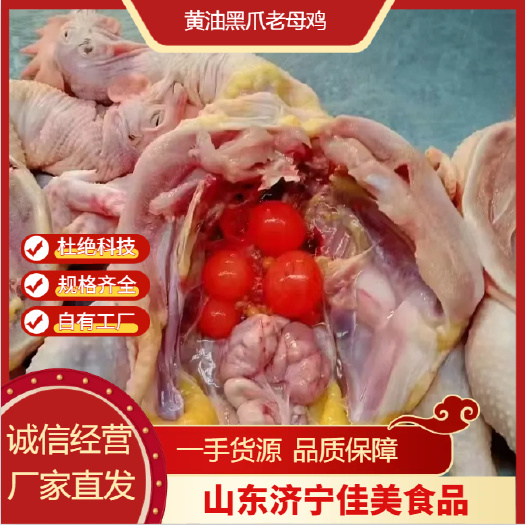 精品贵妃鸡黄油老母鸡 量大从优